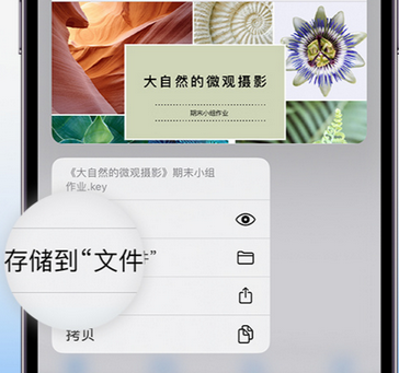 洪洞apple维修中心分享iPhone文件应用中存储和找到下载文件