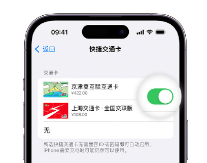 洪洞apple维修点分享iPhone上更换Apple Pay快捷交通卡手绘卡面 