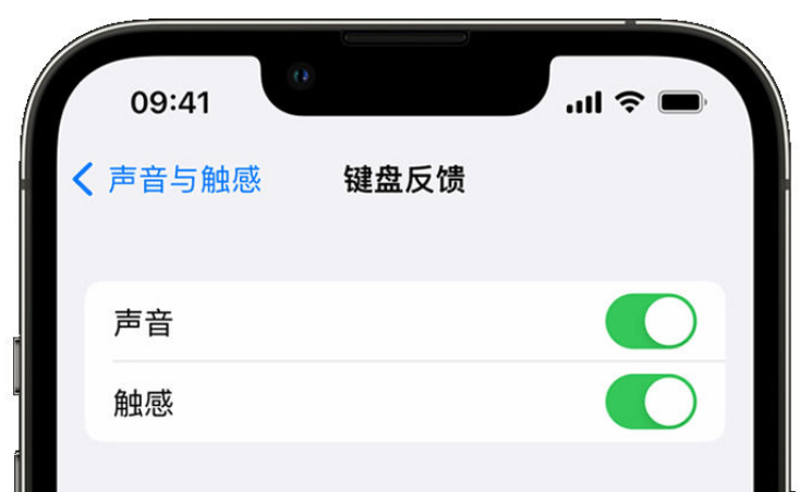 洪洞苹果手机维修分享iPhone 14触感键盘使用方法 