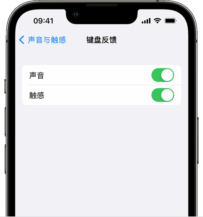 洪洞苹果14维修店分享如何在 iPhone 14 机型中使用触感键盘 